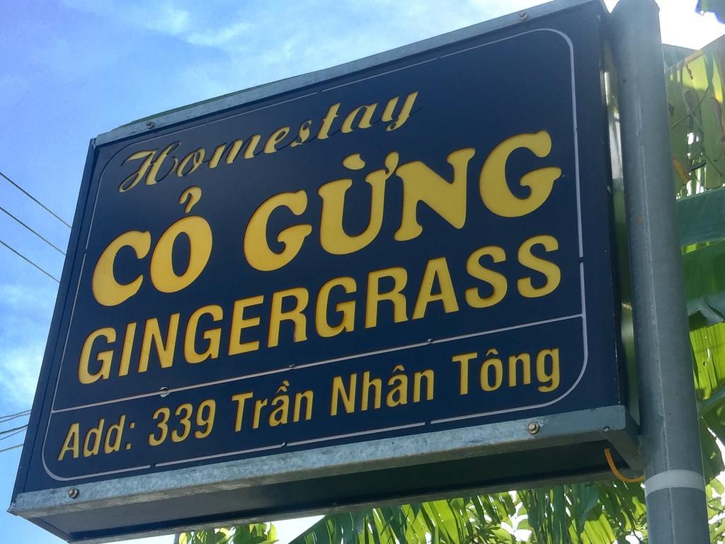 Gingergrass Homestay Hoi An Eksteriør billede