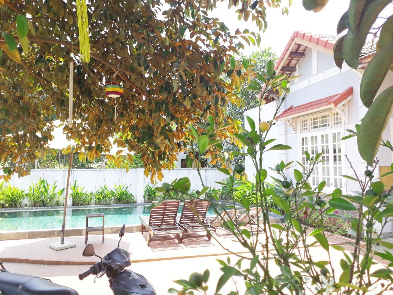 Gingergrass Homestay Hoi An Eksteriør billede