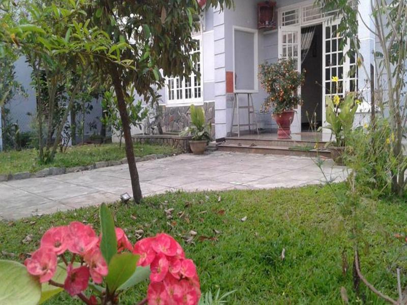 Gingergrass Homestay Hoi An Eksteriør billede