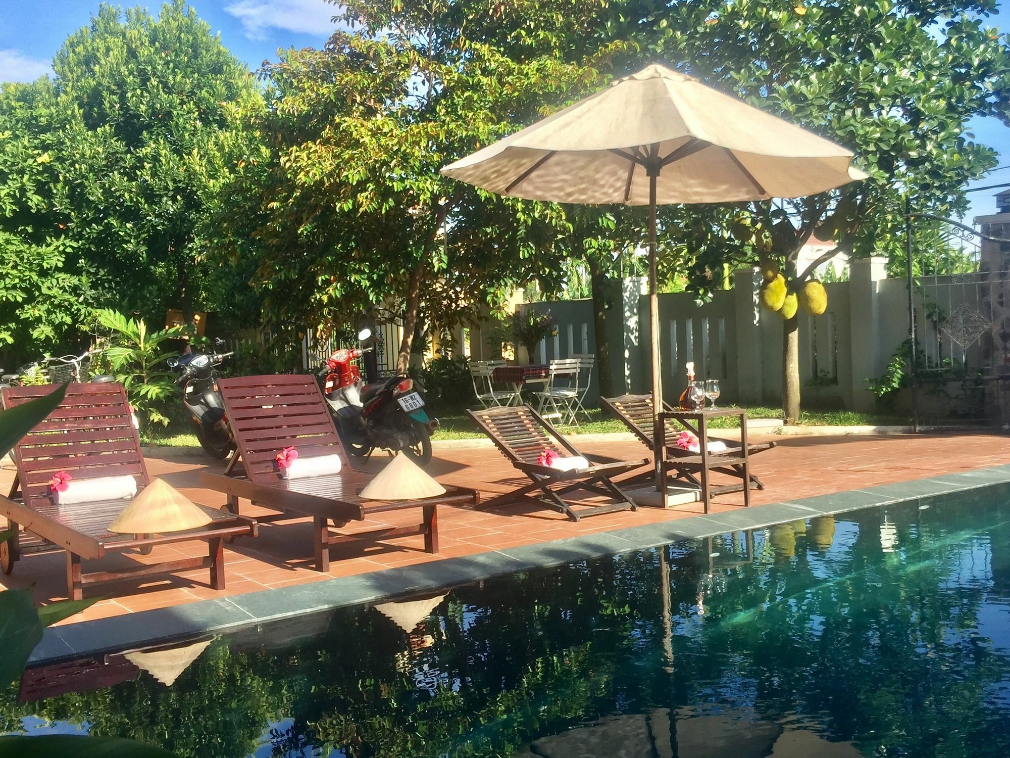 Gingergrass Homestay Hoi An Eksteriør billede