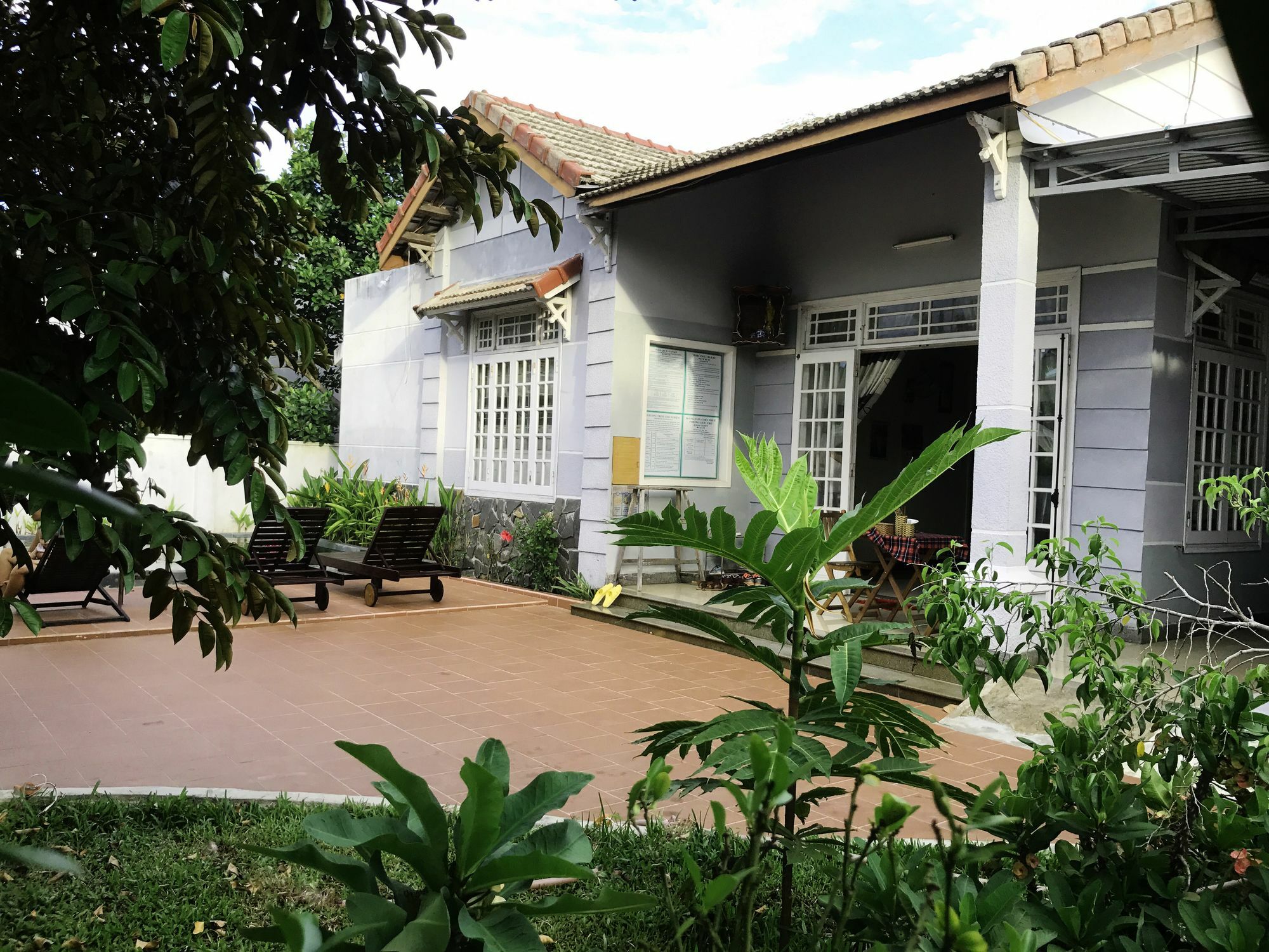 Gingergrass Homestay Hoi An Eksteriør billede