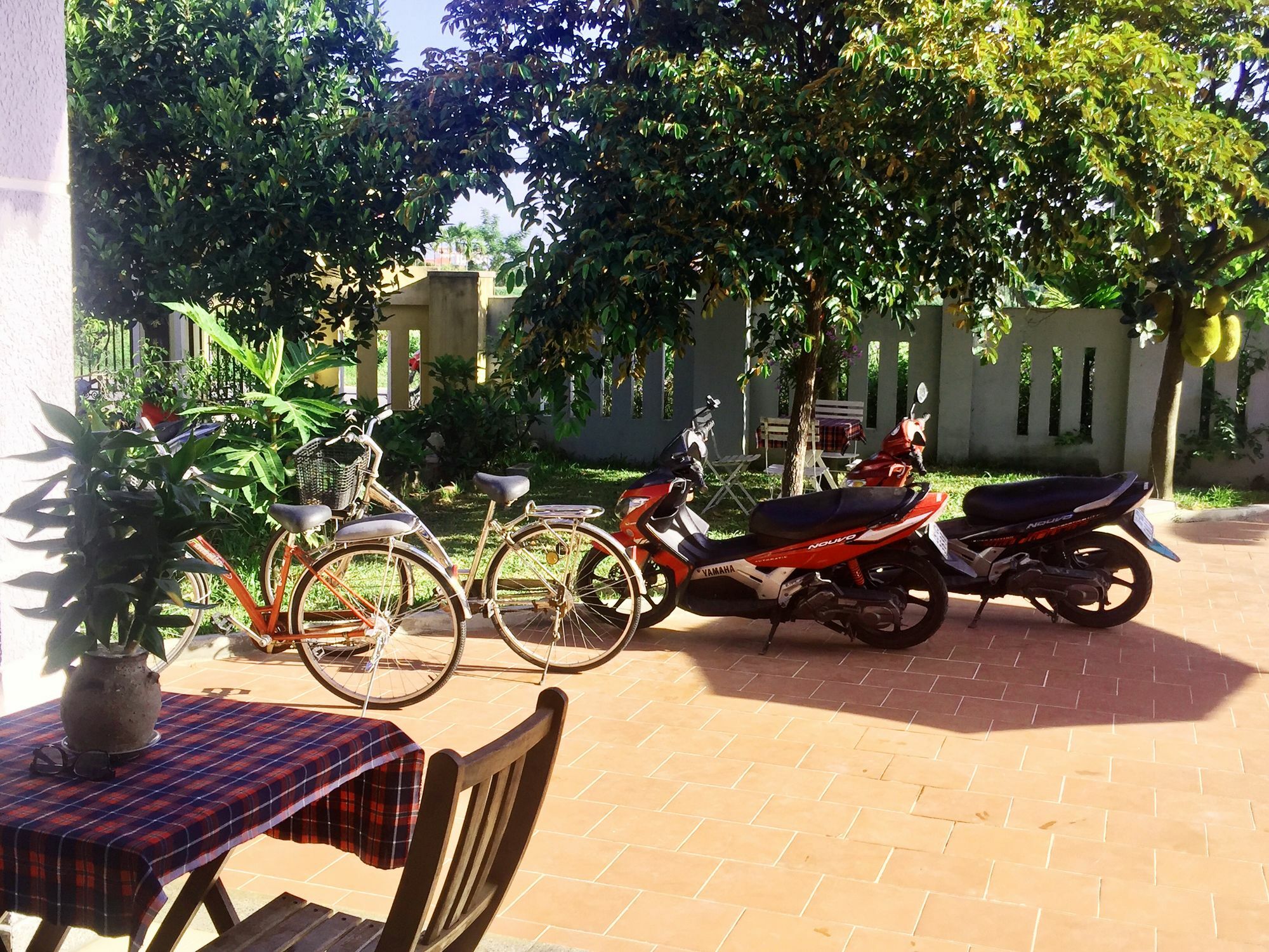 Gingergrass Homestay Hoi An Eksteriør billede